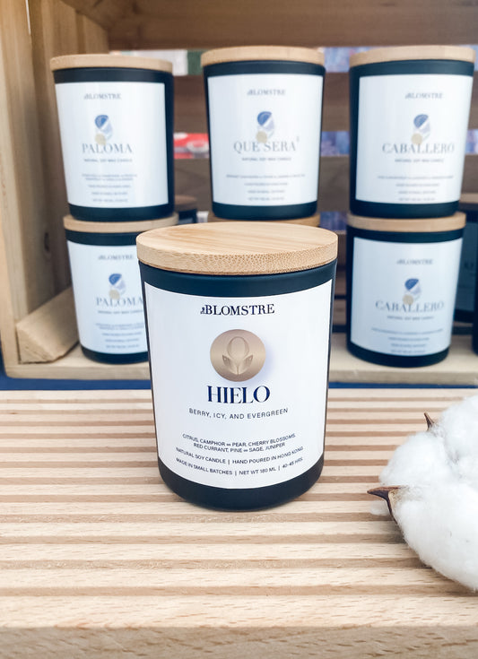 Soy Candle 180ml: HIELO